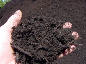 Compost