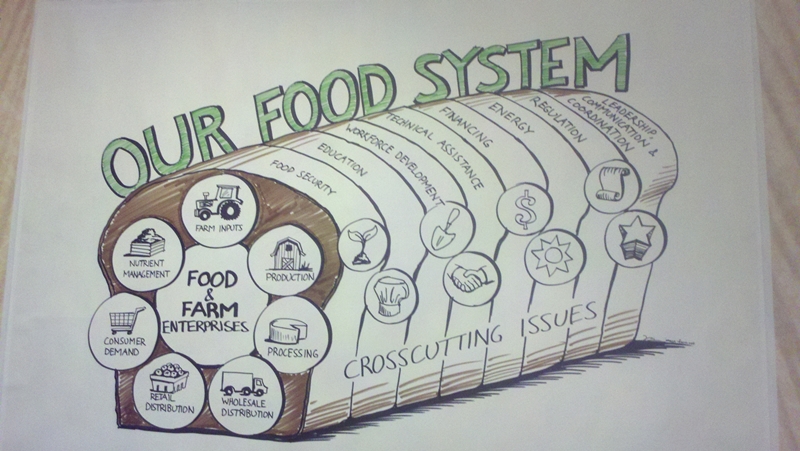 Our Food System