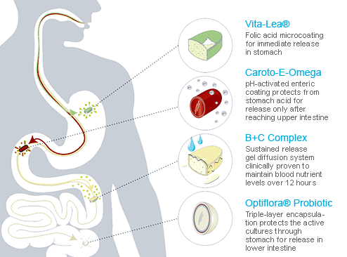 Shaklee Vitalizer SMART Delivery