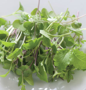 Mild Micro Greens