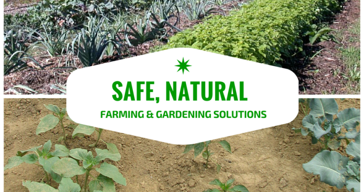 Safe, Natural Farming & Gardening